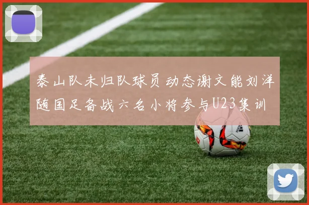 泰山队未归队球员动态谢文能刘洋随国足备战六名小将参与U23集训
